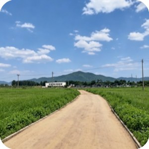 图79_第21页_SST型土壤固化技术介绍(1)_副本.png